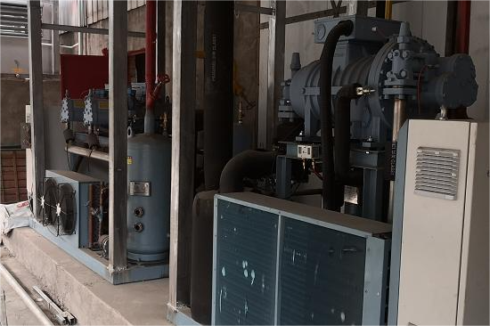 攀枝花洛河農(nóng)業(yè)冷庫--小蒼蜂