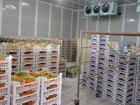 冷庫輕微冰堵與嚴重冰堵的處理方式