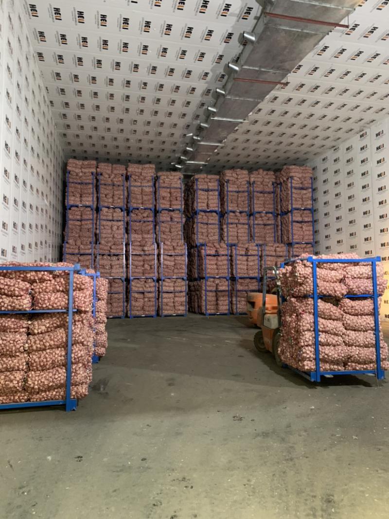 大蒜冷庫儲存技術要點