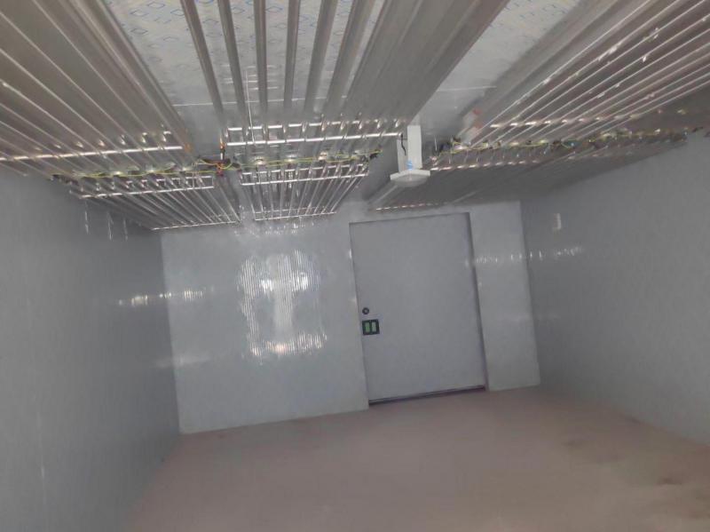 《頂排管技術(shù)在冷庫設(shè)計中的五大核心優(yōu)勢與應(yīng)用分析》