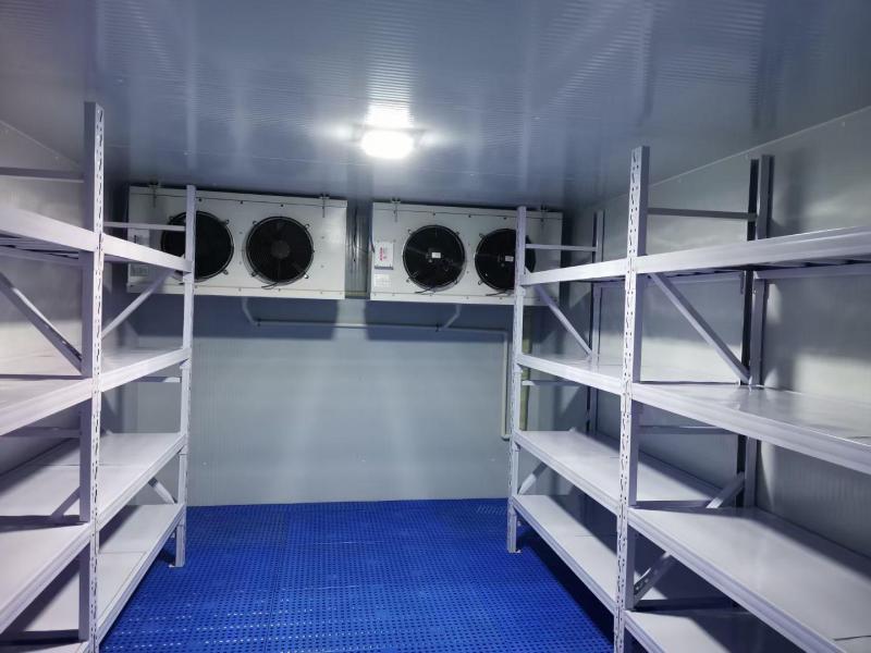 智慧冷鏈基石：冷庫類型精準(zhǔn)選擇指南與應(yīng)用場景深度解析