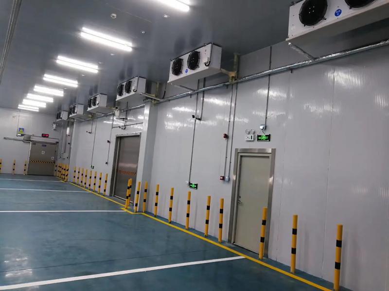 智賦·冷儲(chǔ)綠啟新程——2026年中國冷庫行業(yè)高質(zhì)量發(fā)展核心趨勢解析及服務(wù)指南